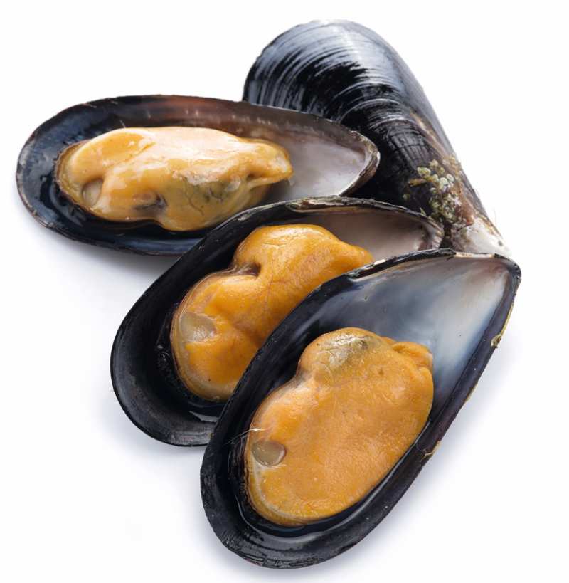 MEJILLONES