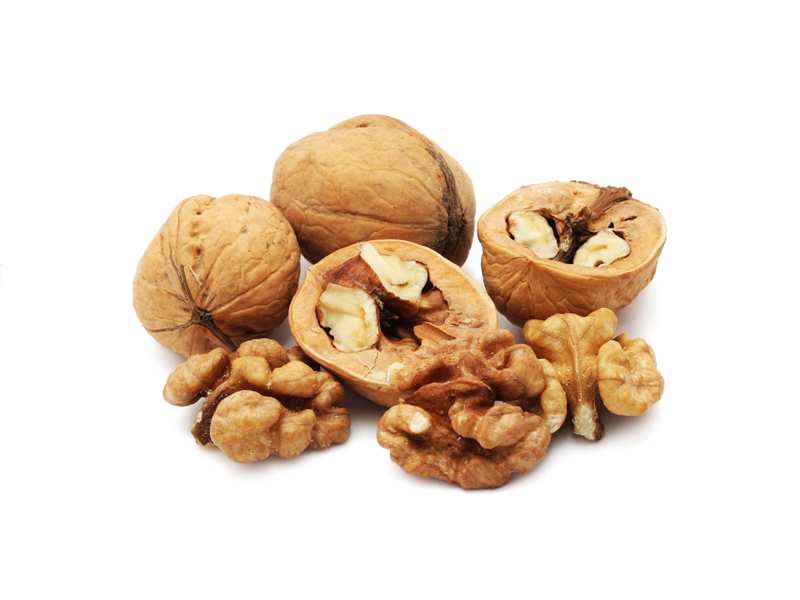 NUECES