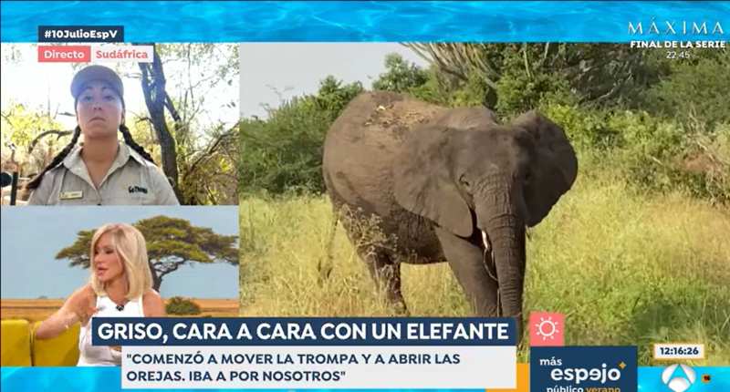 Susanna Griso recuerda la peligrosa experiencia que vivió en un safari