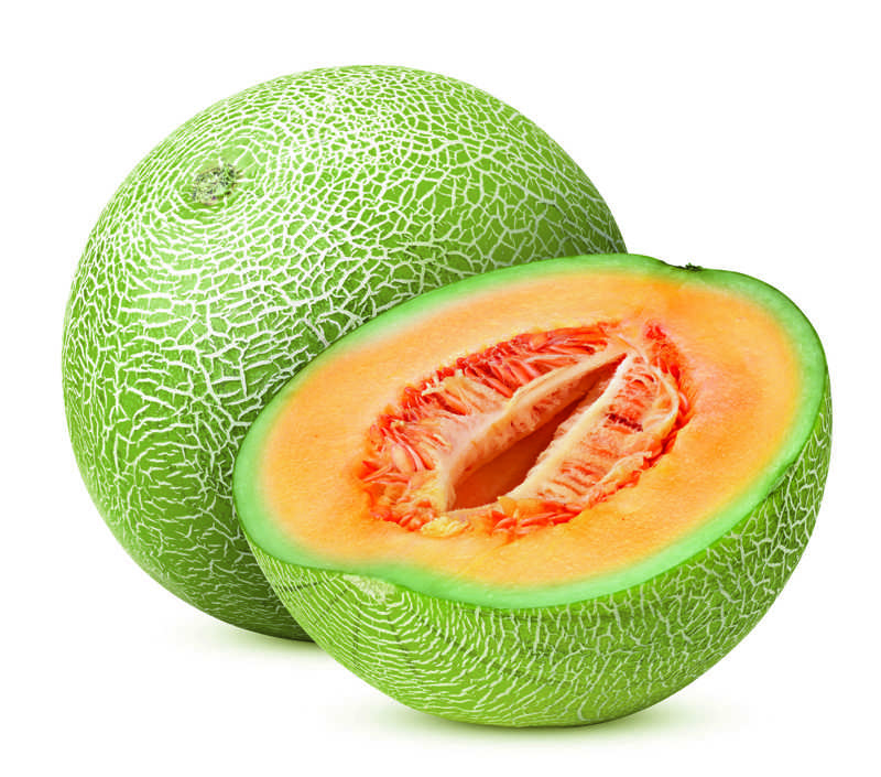 melón