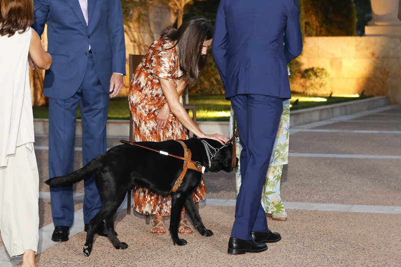 La reina Letizia saluda al perro guía de Joan Munar