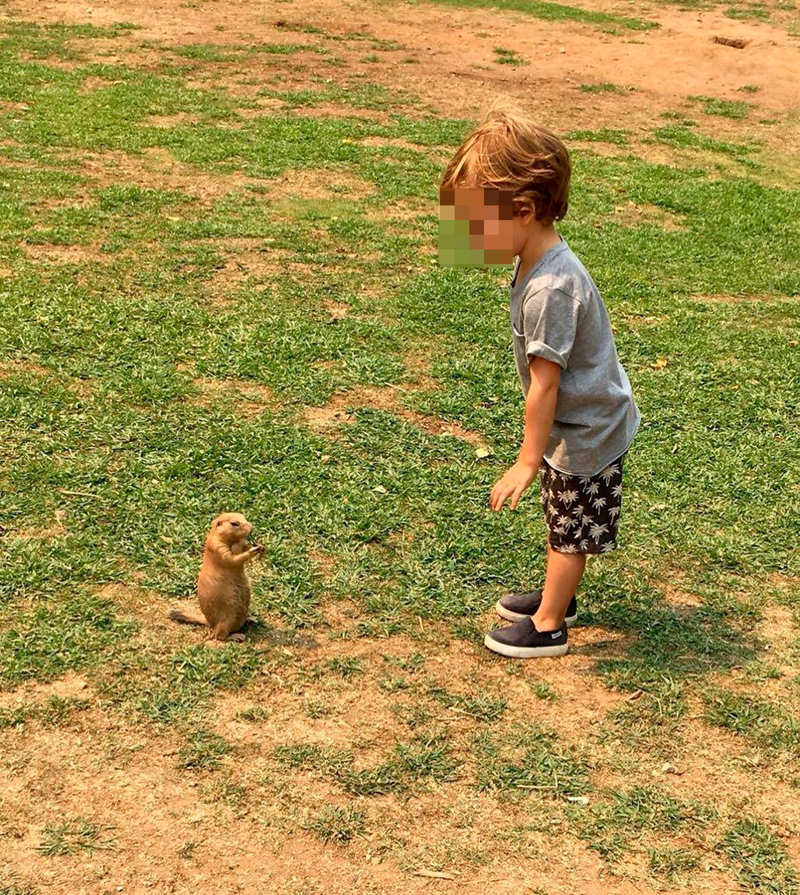 Sara Carbonero comparte una foto de su hijo.