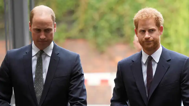 Harry y Guillermo de Inglaterra, muy serios