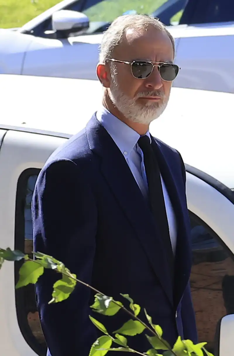 Felipe VI