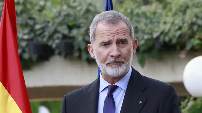 Felipe VI en Jordania