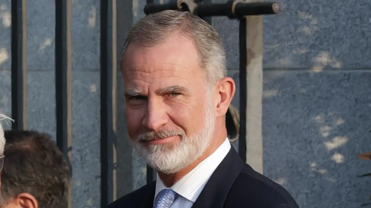 Rey Felipe VI