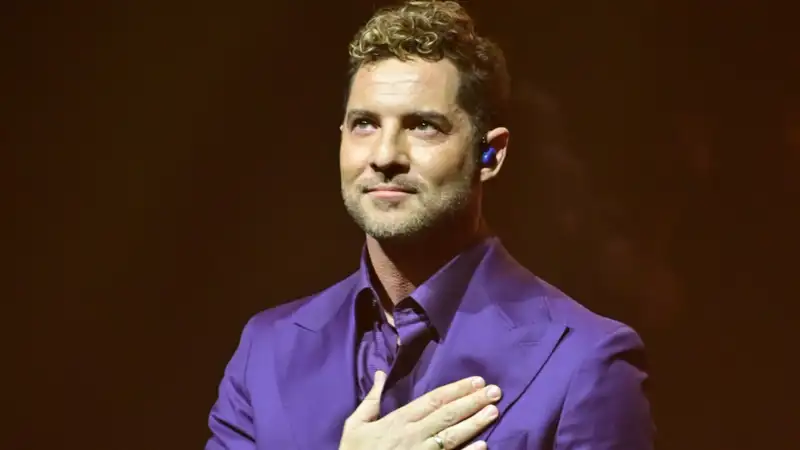 David Bisbal (1)