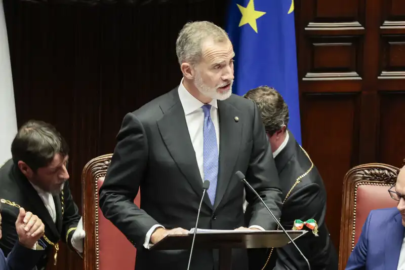 El Rey Felipe VI, durante un discurso ante el Parlamento italiano.