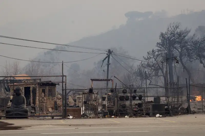 Estructuras carbonizadas tras el incendio de Los Ángeles