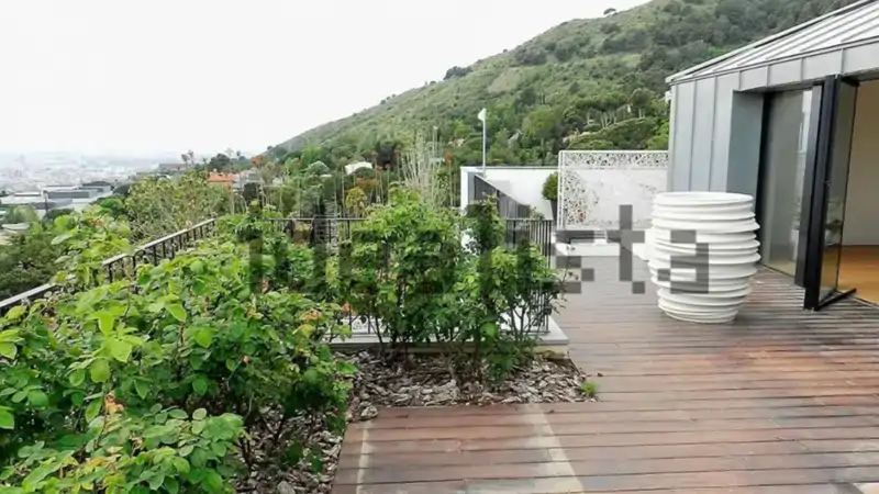 terraza de la vivienda