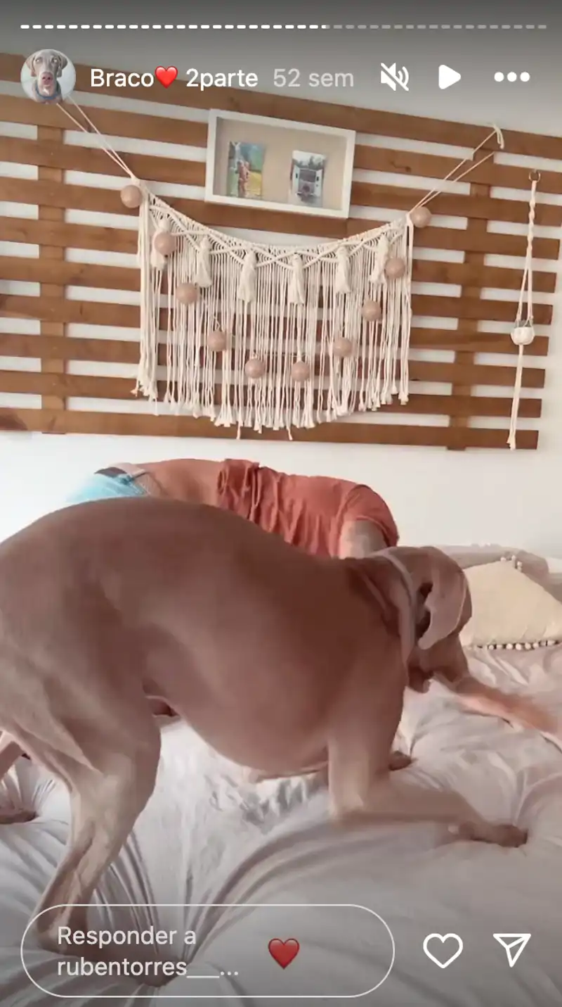 El dormitorio está decorado de forma muy minialista
