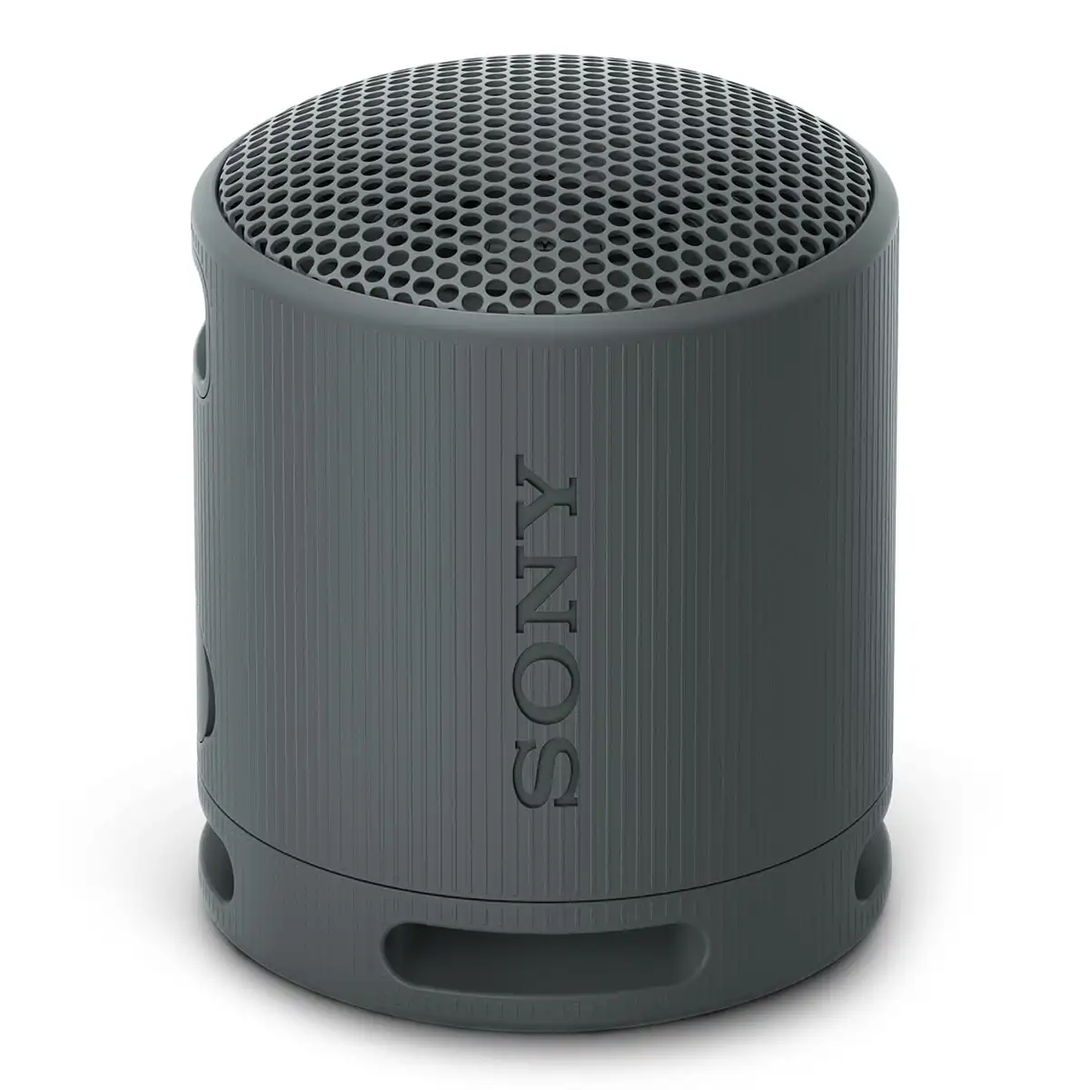 Altavoz Sony SRS-XB100