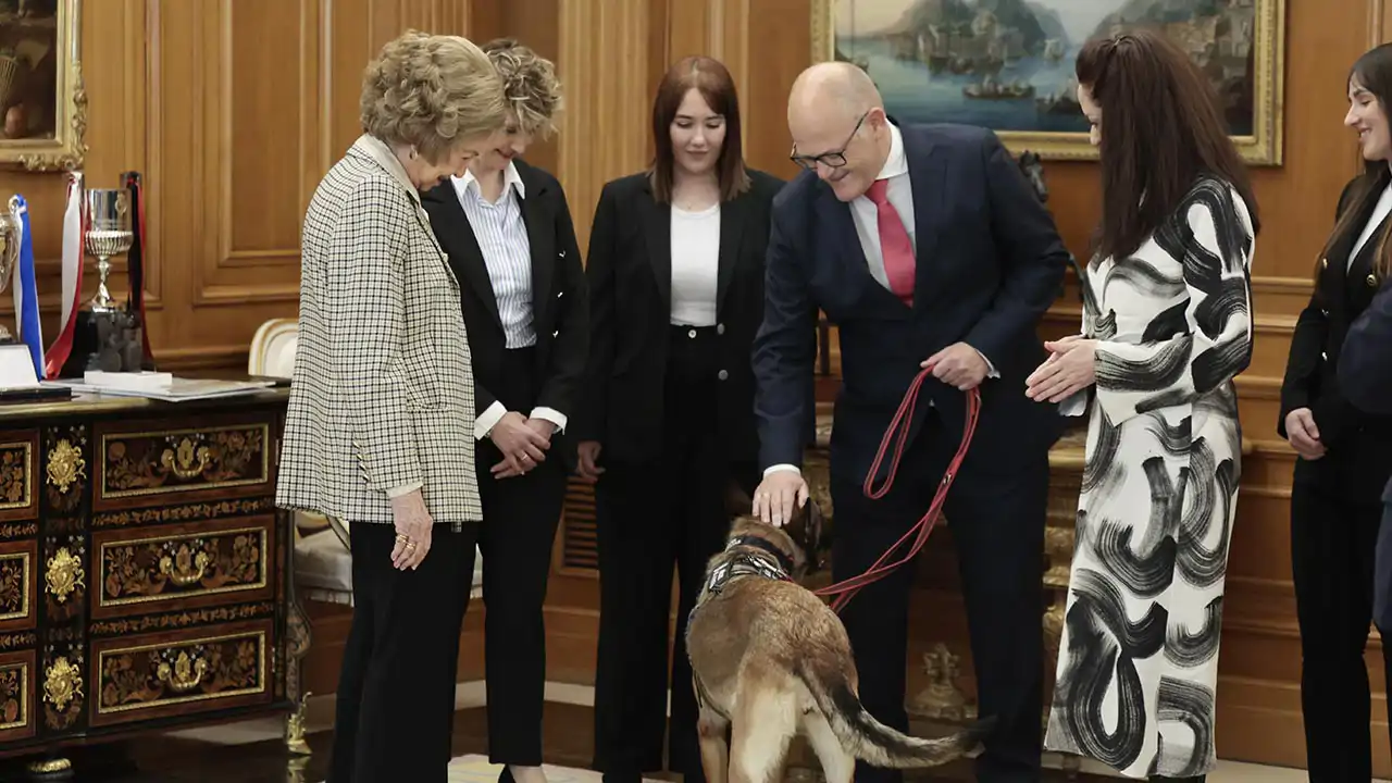 La Reina Sofía abre las puertas de Zarzuela a perros de trabajo jubilados: fotos entrañables y un look muy elegante