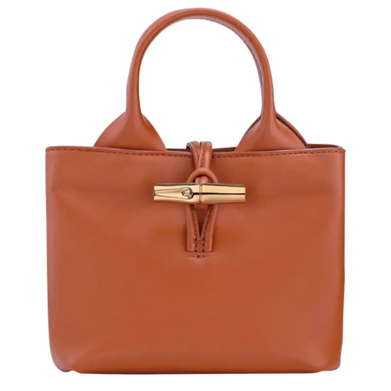 Le Roseau Bolso con Asa Superior XS Cuero Corteza de Longchamp 590 euros