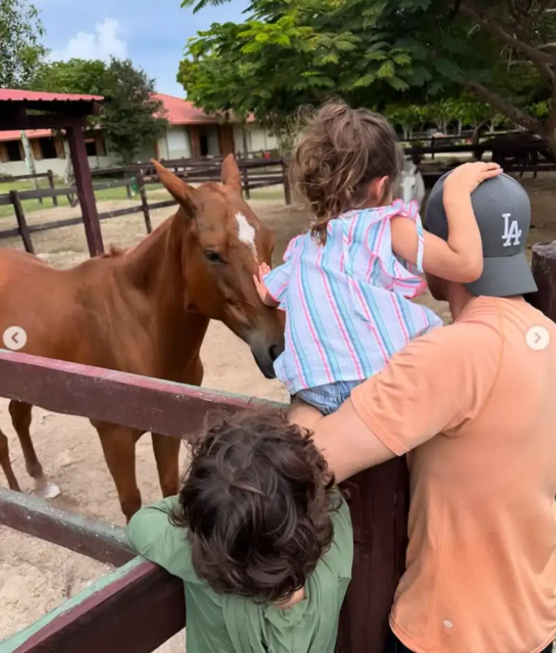 La familia visita a los caballos