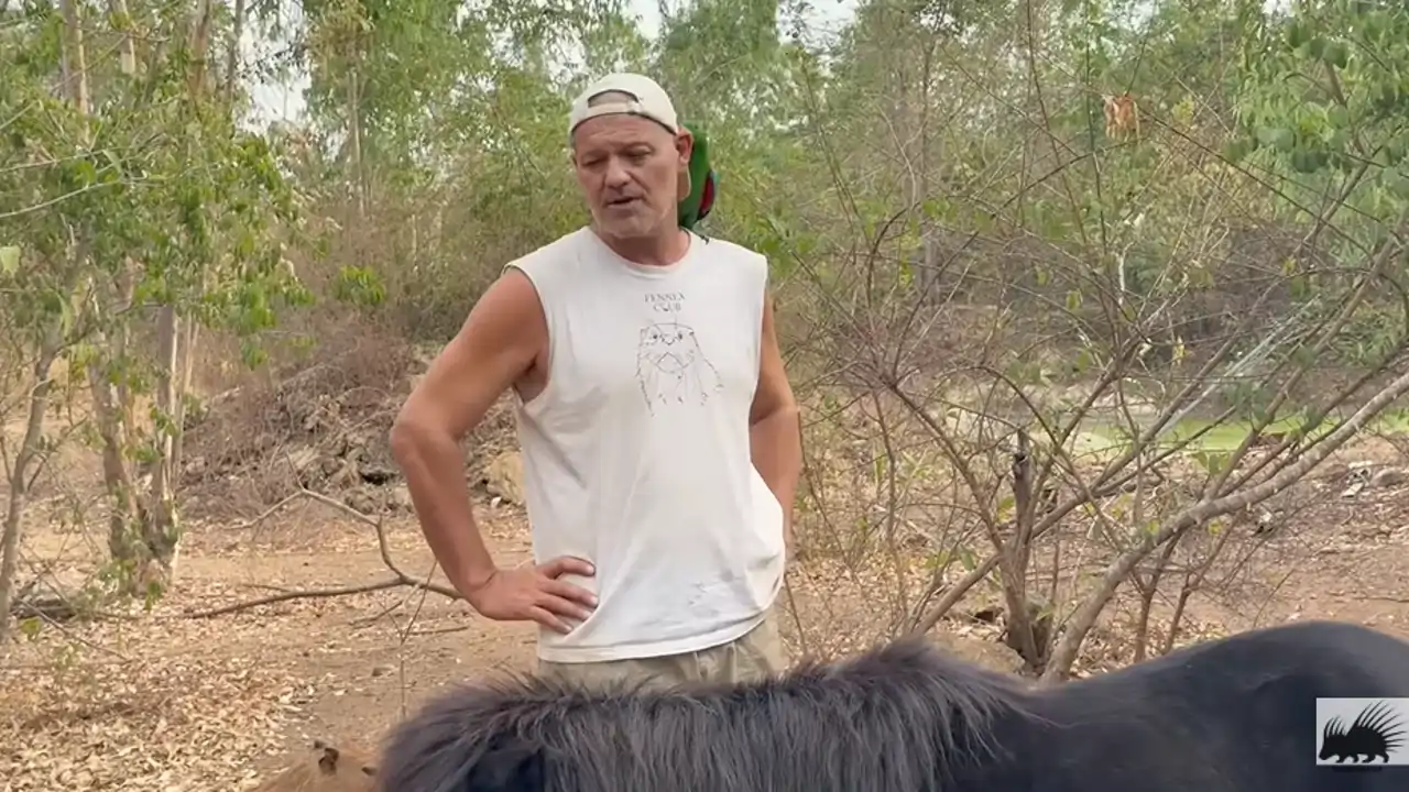 Frank Cuesta, en su Santuario tras quedar en libertad bajo fianza.