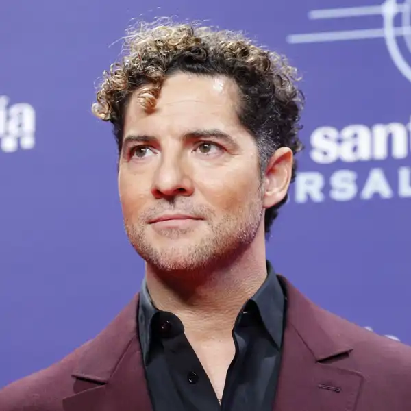 David Bisbal