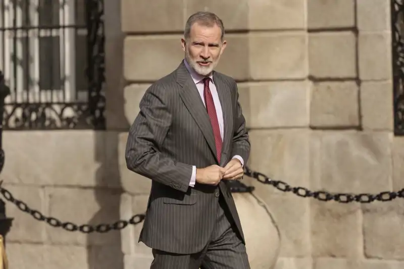 El Rey Felipe VI en el Palacio de Liria