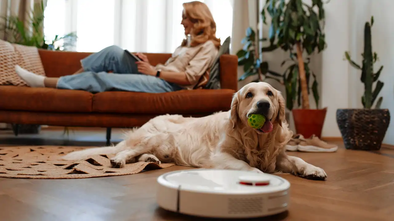 Mujer con perro y robot aspirador