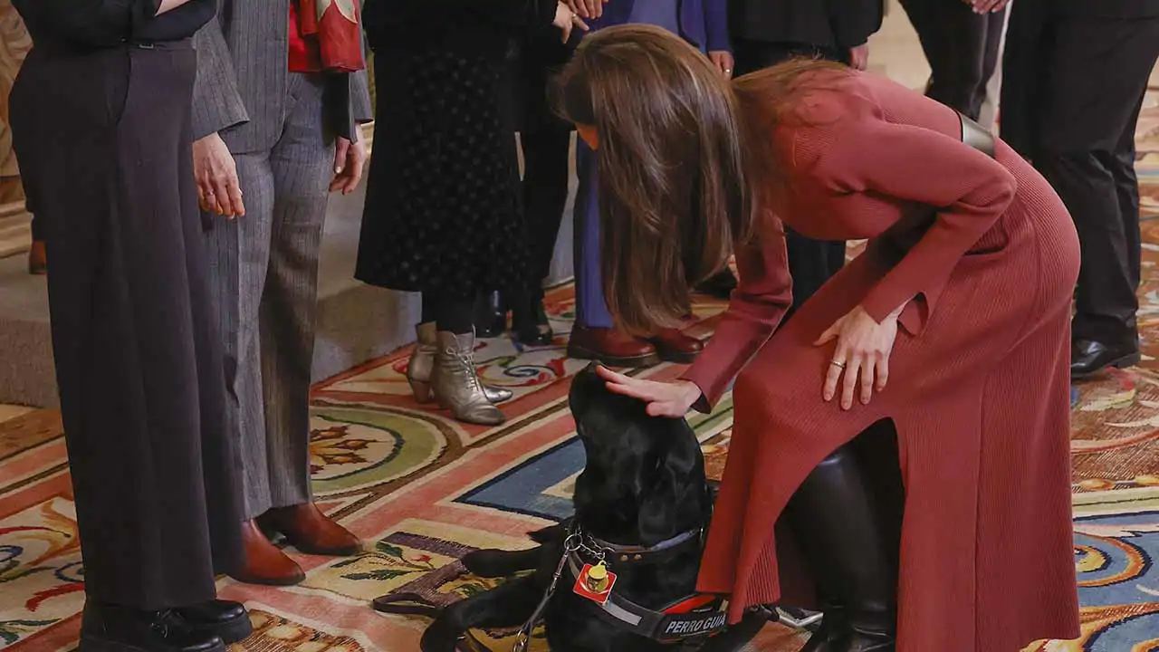 La Reina Letizia saca su lado más desconocido (y cariñoso) con un perro guía idéntico al suyo