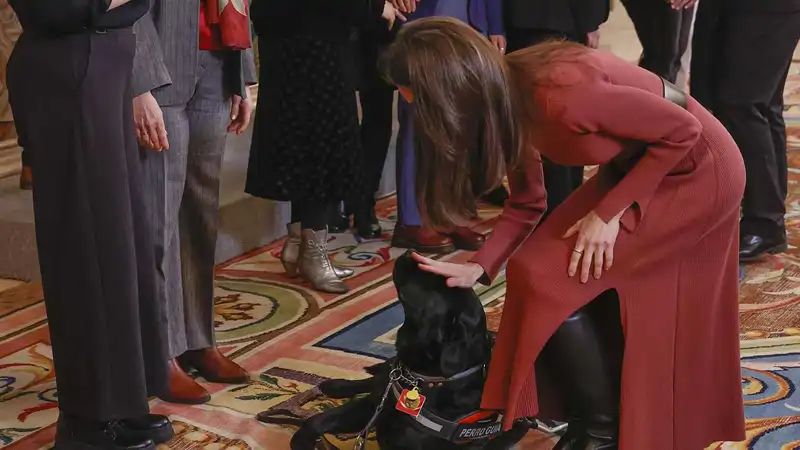 La Reina Letizia, muy cariñosa con un perro en el palacio