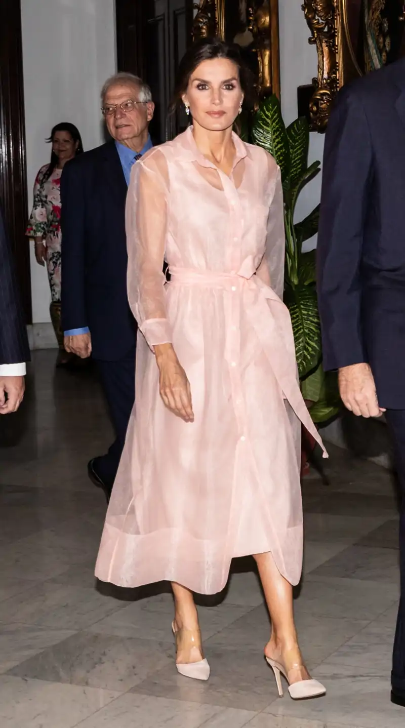 La Reina Letizia y su vestido de organza rosa de Maje 