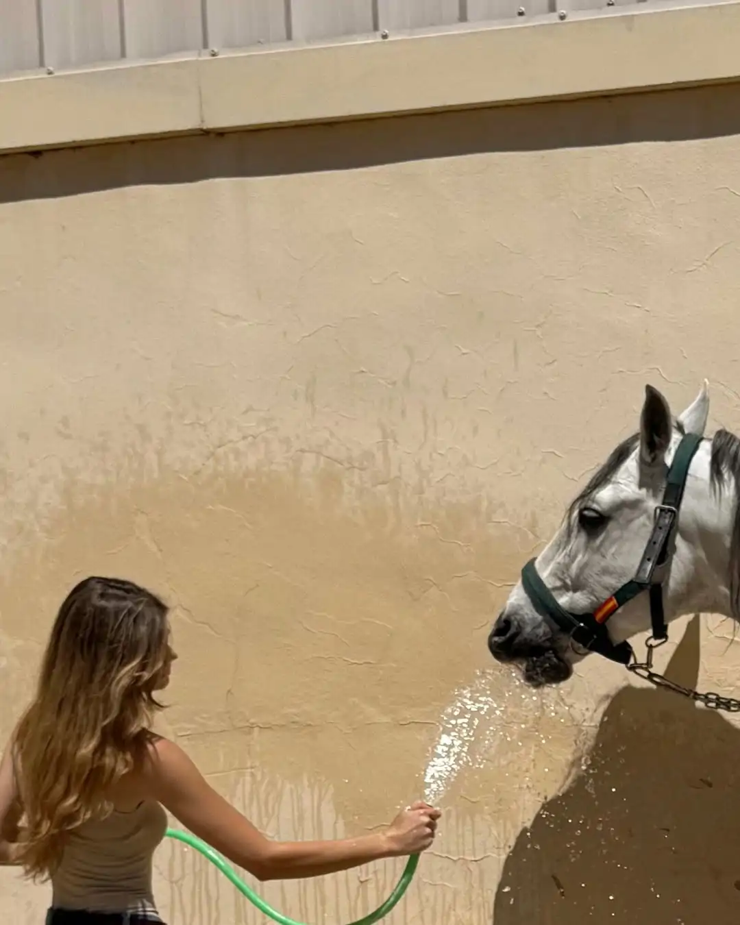 Completamente volcada con el cuidado de sus caballos