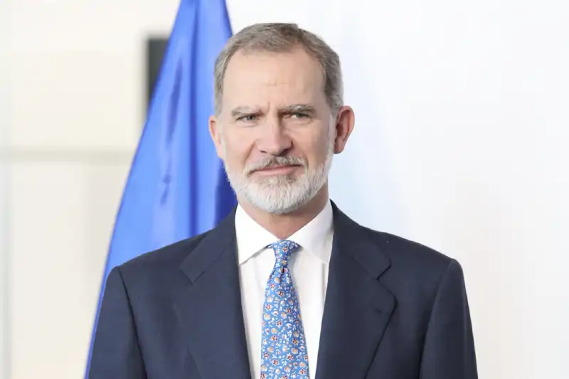 El Rey Felipe VI, en un acto oficial. 