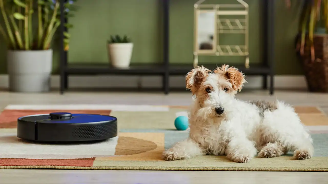 Robot aspirador con perro