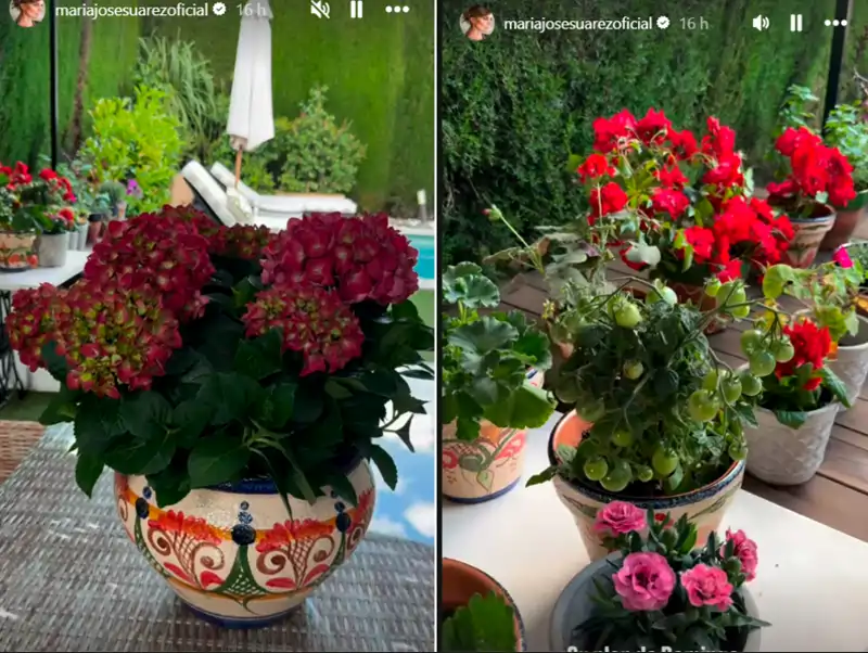 María José Suárez muestra su cuidado jardín 