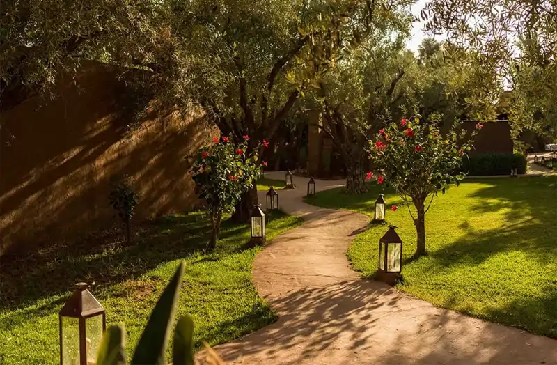 Jardín de Casa Abadacadabra