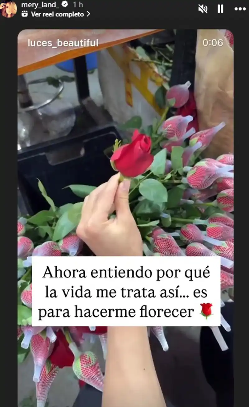Mensaje de María José Campanario