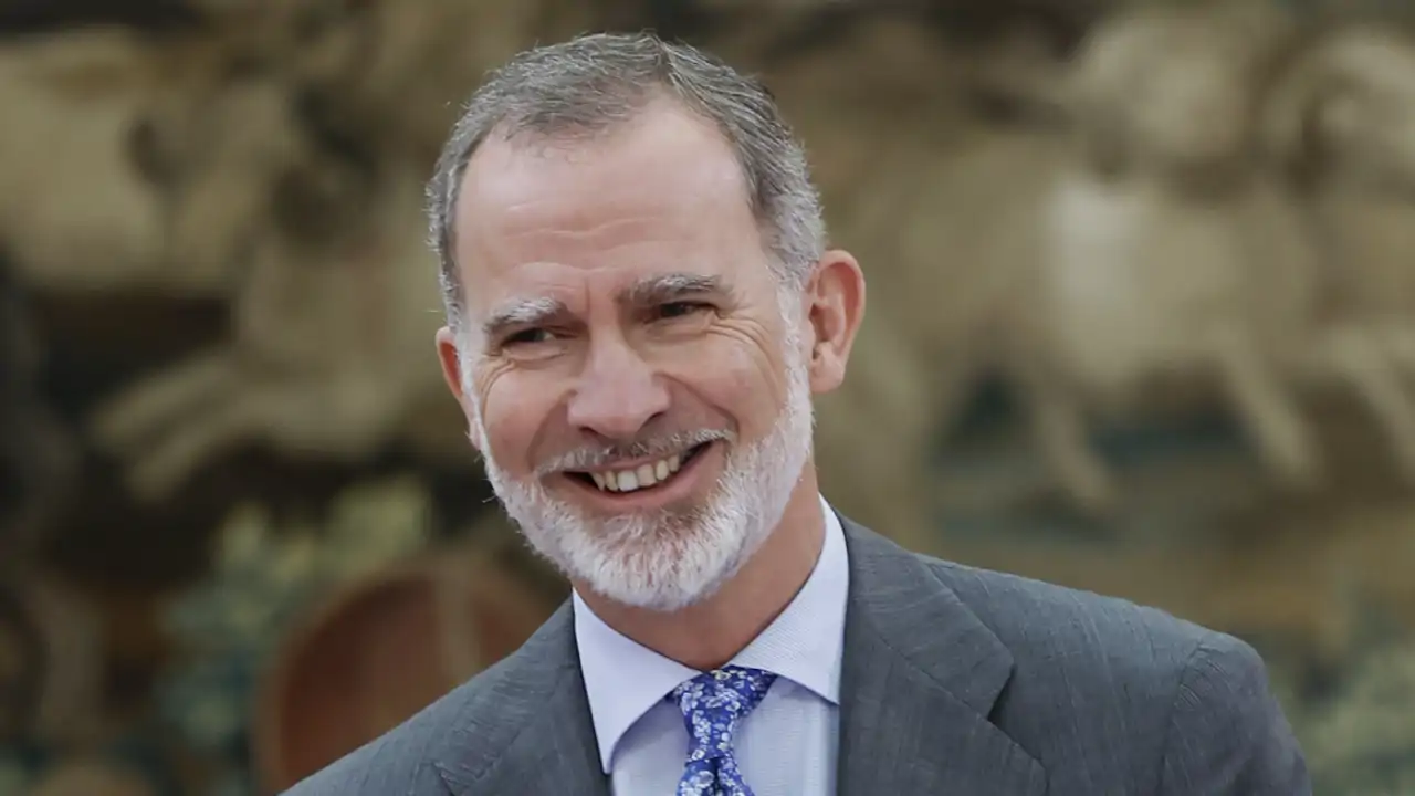 El Rey Felipe VI