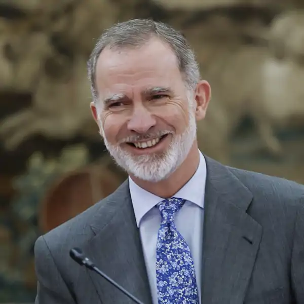 El Rey Felipe VI