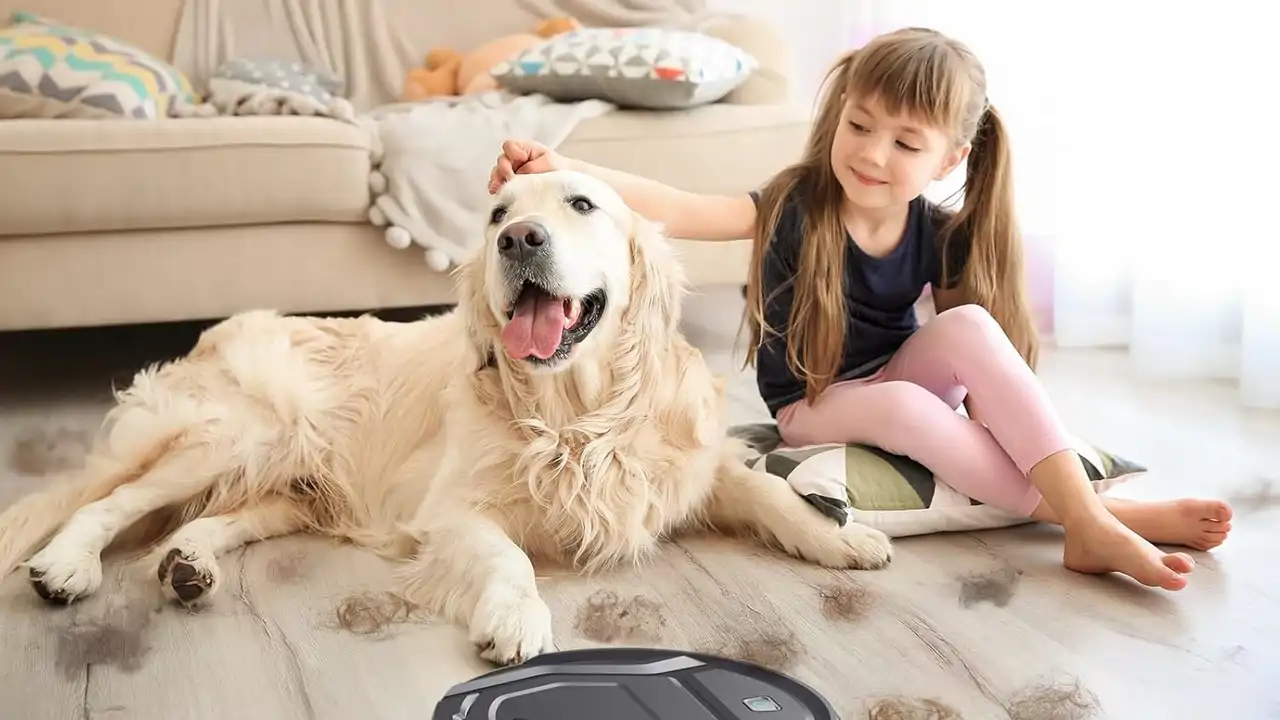 Esta marca “liquida” al 65% su robot aspirador más potente: con 6000 Pa, fregasuelos e ideal para mascotas