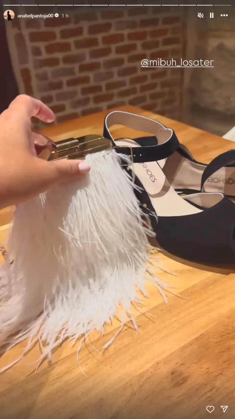 Bolso y zapatos de Anabel Pantoja