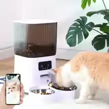 Comedero automático inteligente para gatos