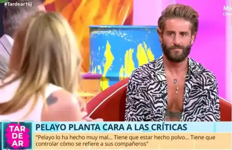 Pelayo en televisión