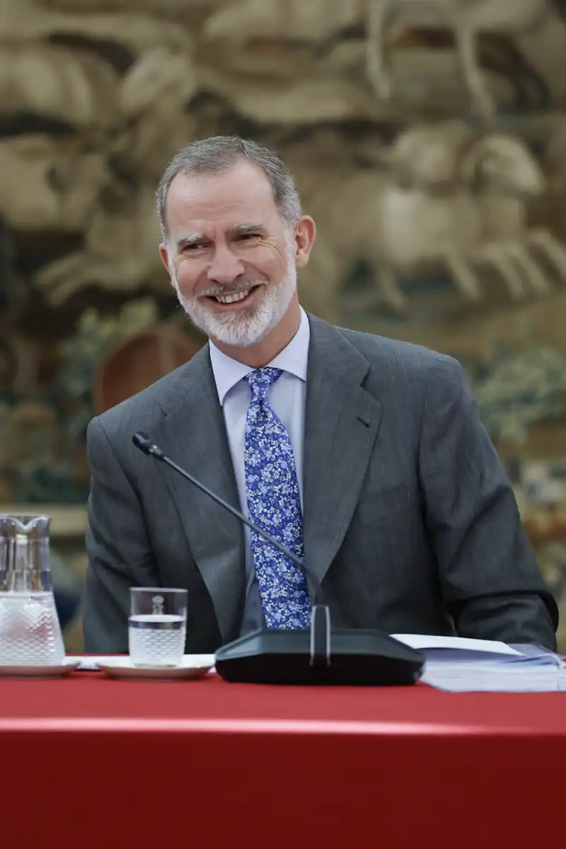 El Rey Felipe VI