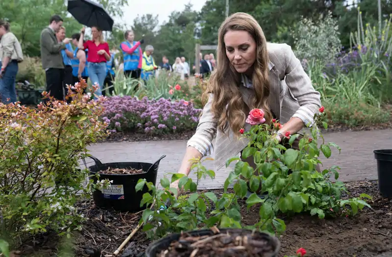 Kate Middleton plantando rosas