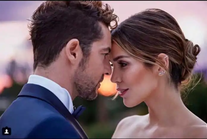 La romántica boda de Rosanna y David Bisbal en Segovia