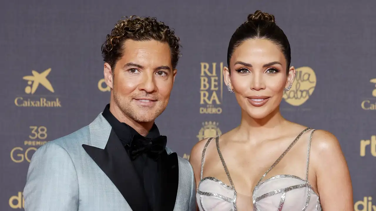 El especial mensaje de admiración de Rosanna Zanetti a David Bisbal:  "Espero que estés tan feliz y lleno de amor como nos hiciste sentir anoche  a nosotros"