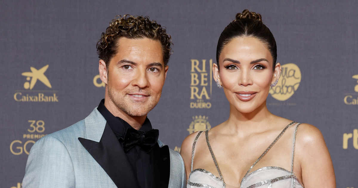 El especial mensaje de admiración de Rosanna Zanetti a David Bisbal ...