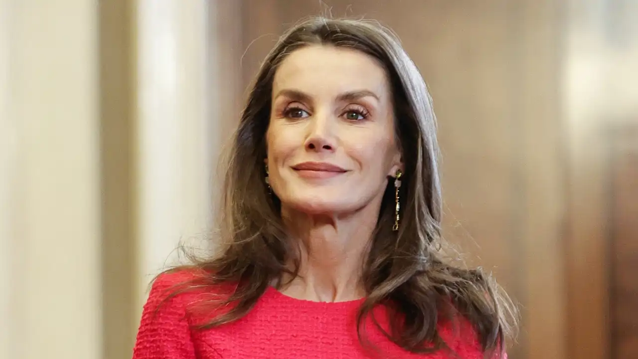 La Reina Letizia ha lucido uno de sus vestidos más misteriosos