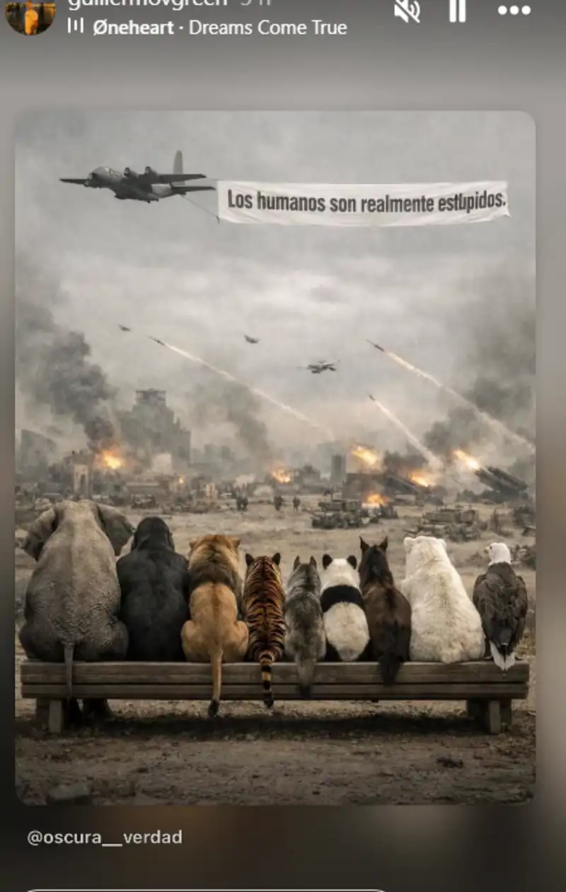 Mensaje de Guillermo, novio de Irene Rosales: "Los humanos son realmente estúpidos"