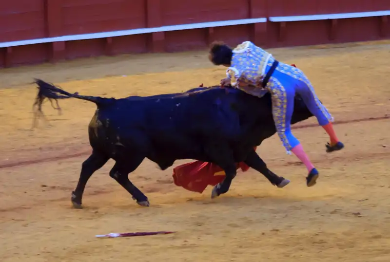 Roca Rey, cogido por un toro en Sevilla
