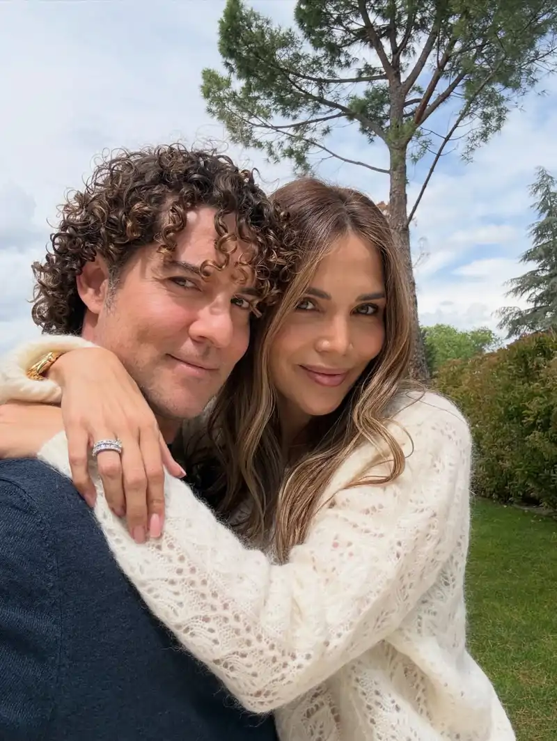 El bonito jardín de David Bisbal y Rosanna Zanetti: piscina con ...