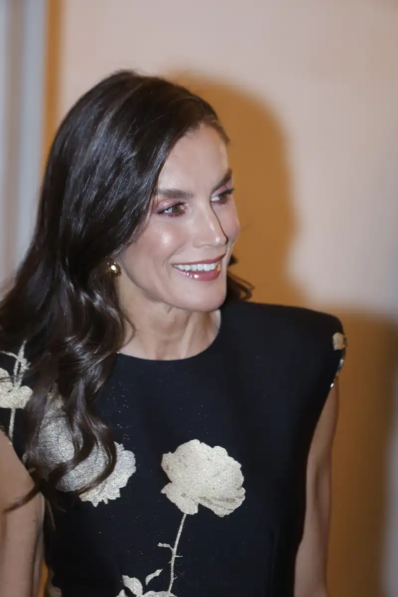la-reina-letizia-pura-sofisticaci-n-en-la-entrega-de-los-i-premios-de