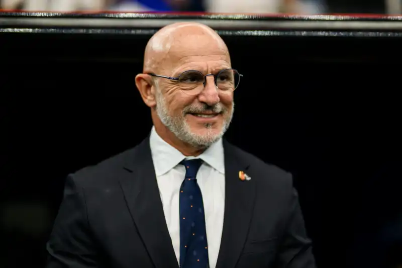 Luis de la Fuente