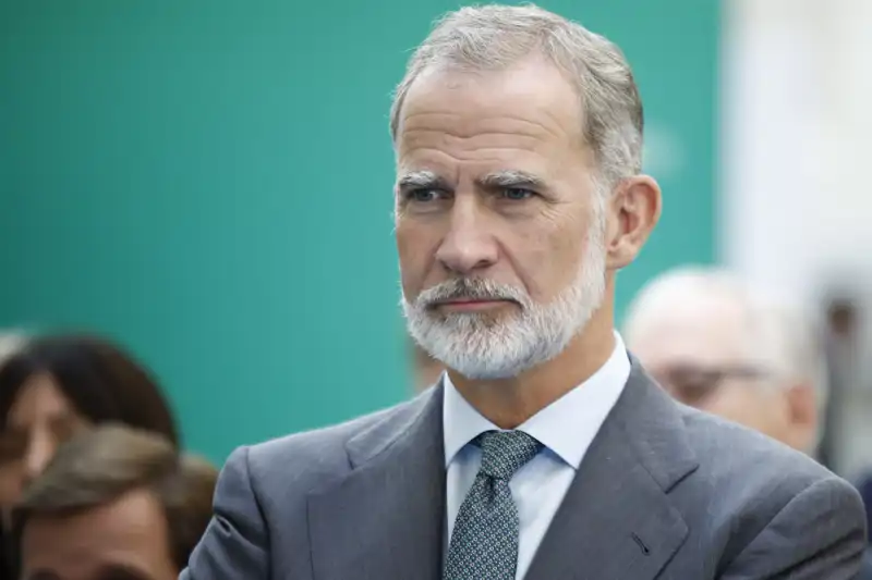 Rey Felipe VI